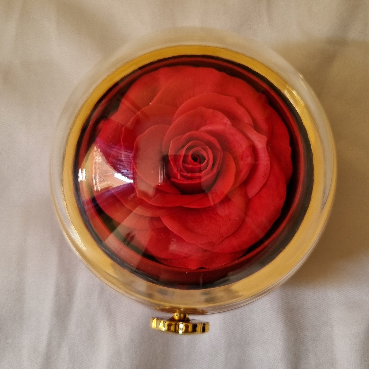 Eterna™ Box