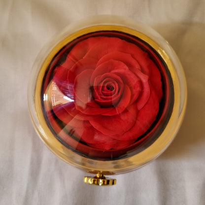 Eterna™ Box